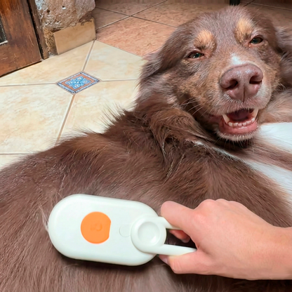 Cepillo de Vapor Spa en Casa 3 en 1: Masaje, Limpieza y Adiós Pelos