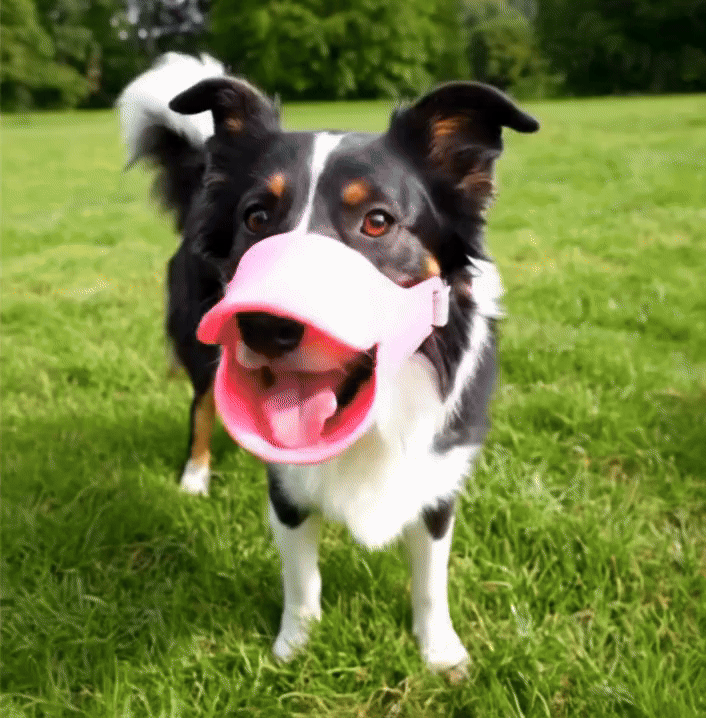 Bozal Para Mascota Pico De Pato Talla M