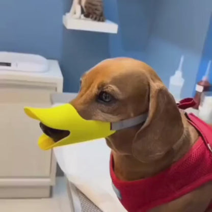 Bozal Para Mascota Pico De Pato Talla L